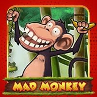 Mad Monkey H5