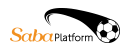 logo ibcsports