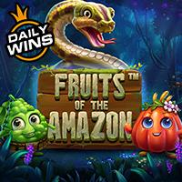 Fruits of the Amazonâ„¢